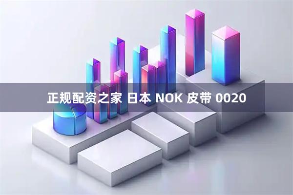 正规配资之家 日本 NOK 皮带 0020